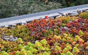 the cost of Cabrach green roof installation