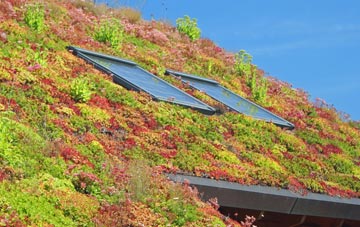 Cabrach living roof systems