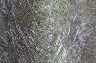 Cabrach fibreglass roof work